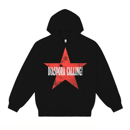 DC HOODIE