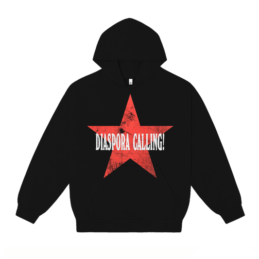 DC HOODIE