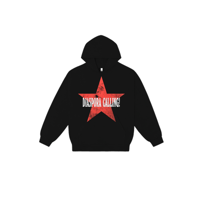 DC HOODIE